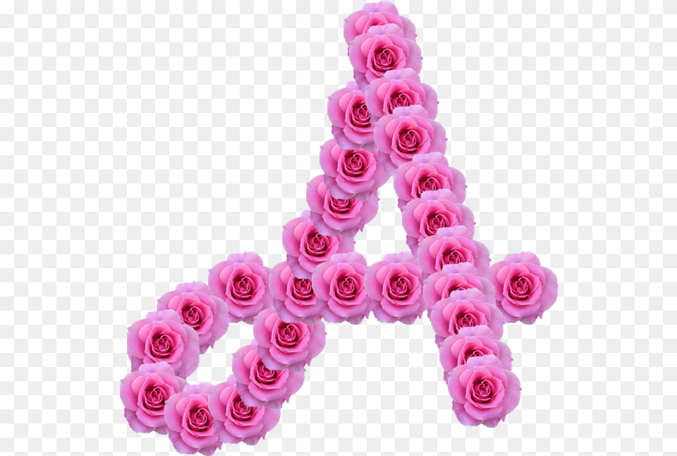 Alfabeto Decorativo Rosas Girly, Flower, Plant, Rose, Petal Png Image