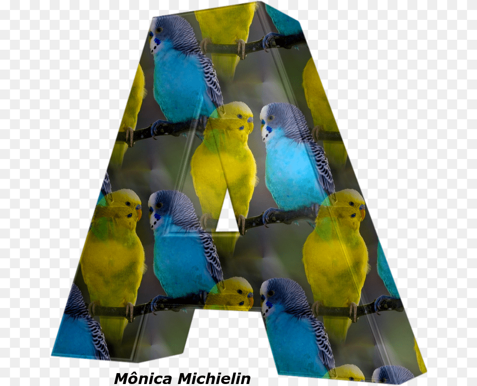 Alfabeto Periquito Australiano Blue And Yellow Birds, Animal, Bird, Parakeet, Parrot Free Transparent Png