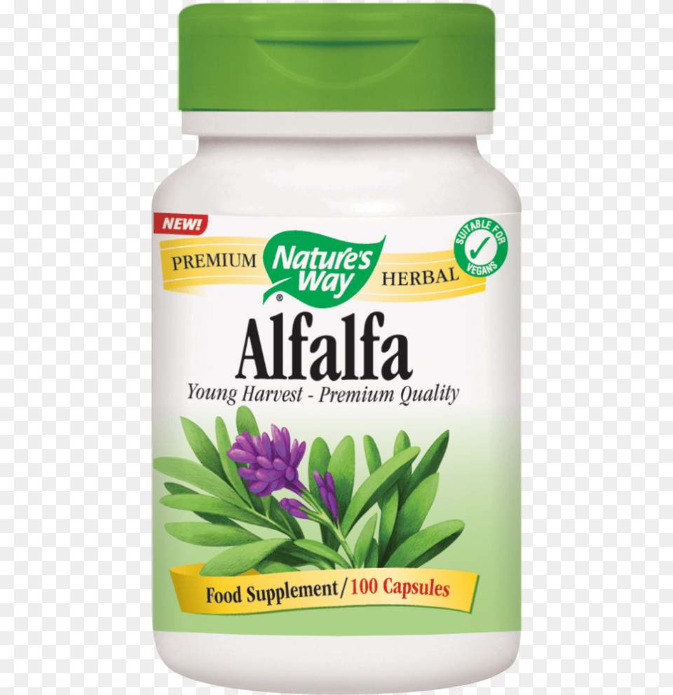 Alfalfa Capsules Nature39s Way Licorice Root, Astragalus, Flower, Herbal, Herbs Png Image