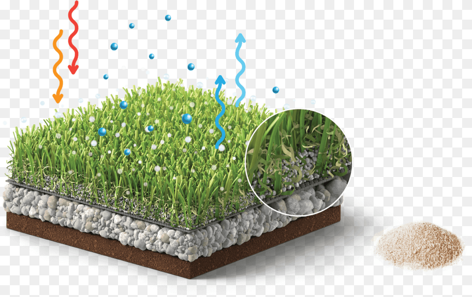 Alfalfa Sprouts, Planter, Pottery, Potted Plant, Vase Free Transparent Png