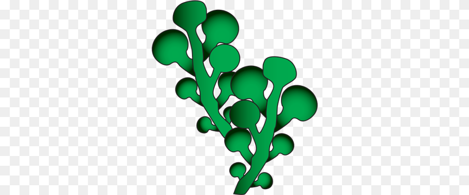 Algae Cliparts, Food, Produce Png
