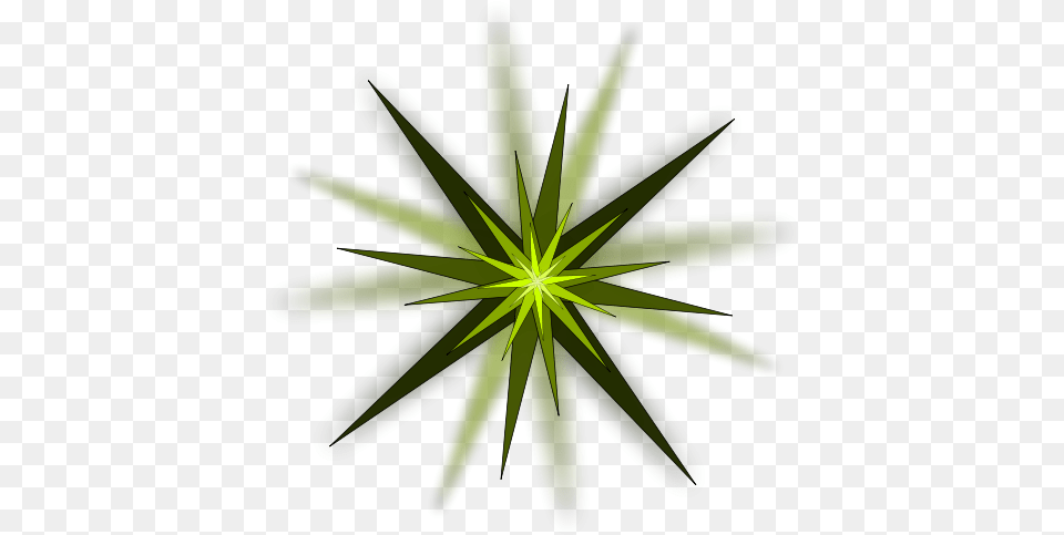 Algae Green Star Designs, Leaf, Plant, Light, Pattern Png