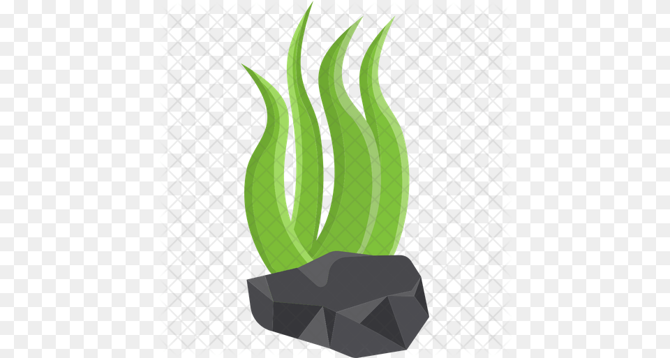 Algae Icon Agave, Plant, Potted Plant, Jar, Planter Free Png Download