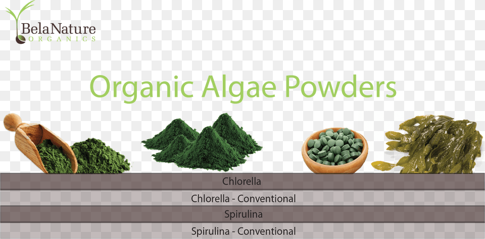 Algae Products Fuel, Plant, Herbal, Herbs, Moss Free Png