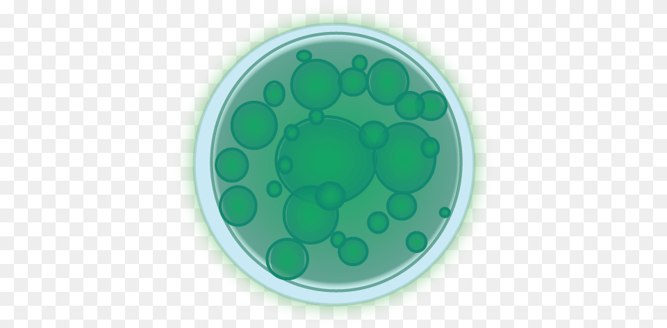 Algae Transparent Circle, Green, Disk Png Image