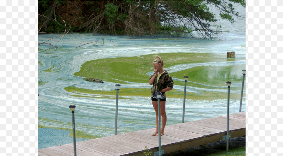 Algal Bloom, Waterfront, Water, Child, Female Free Png