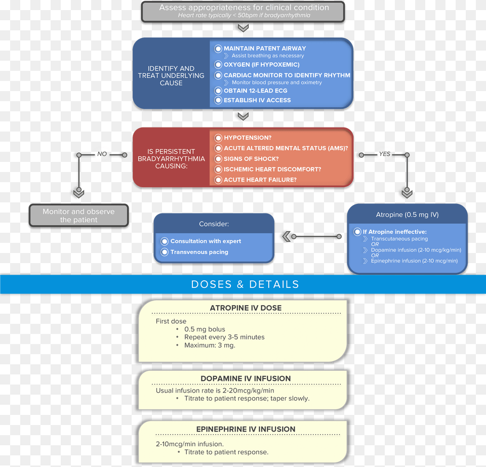 Algorithm Acls Bradycardia With A Pulse Bradycardia Acls Algorithms 2019, Text Free Png Download