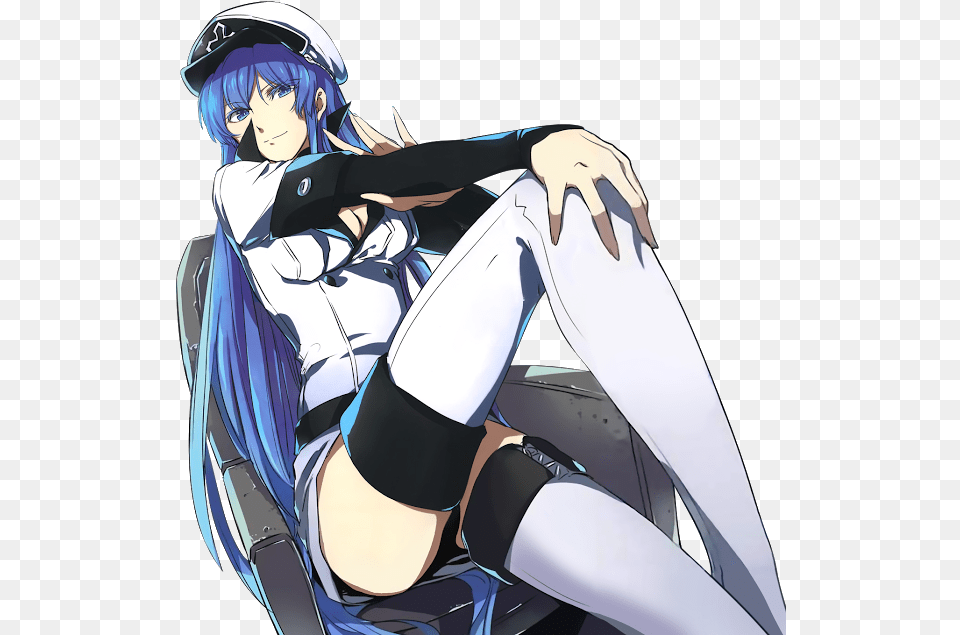 Algunas Buenas Imagenes Akame Ga Kikl Esdeath Art, Publication, Book, Comics, Adult Png Image