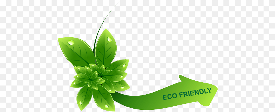 Ali Baba Kp Nargile Kmr, Green, Leaf, Plant, Herbal Free Transparent Png