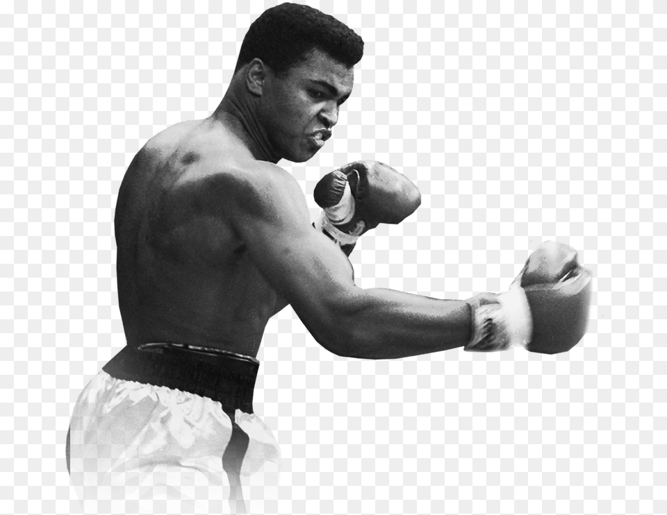 Ali Muhammad Ali, Adult, Person, Man, Male Free Transparent Png