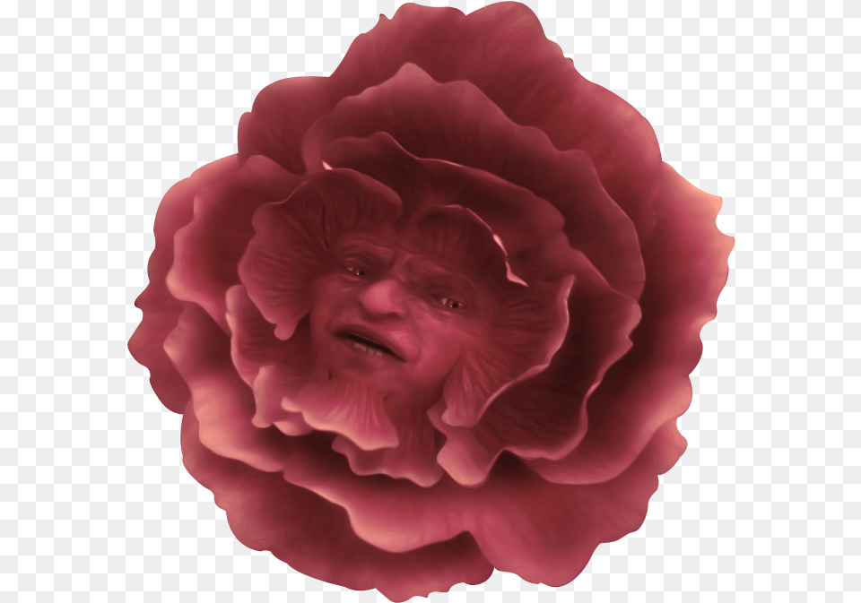 Alice In Wonderland 2010 Flowers, Carnation, Flower, Plant, Rose Png