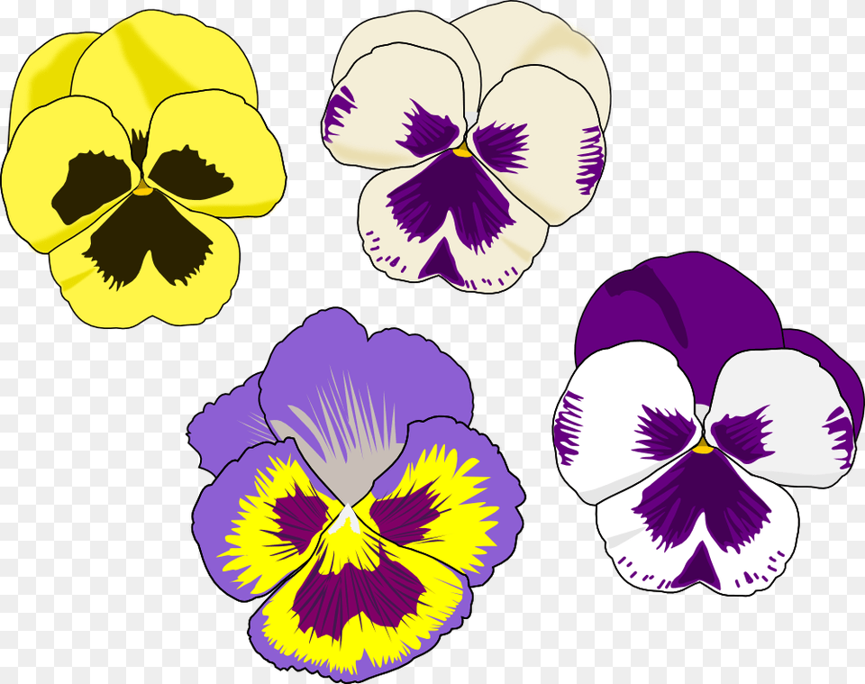 Alice In Wonderland Flower Clipart Clip Art Images, Plant, Pansy, Baby, Person Free Png Download