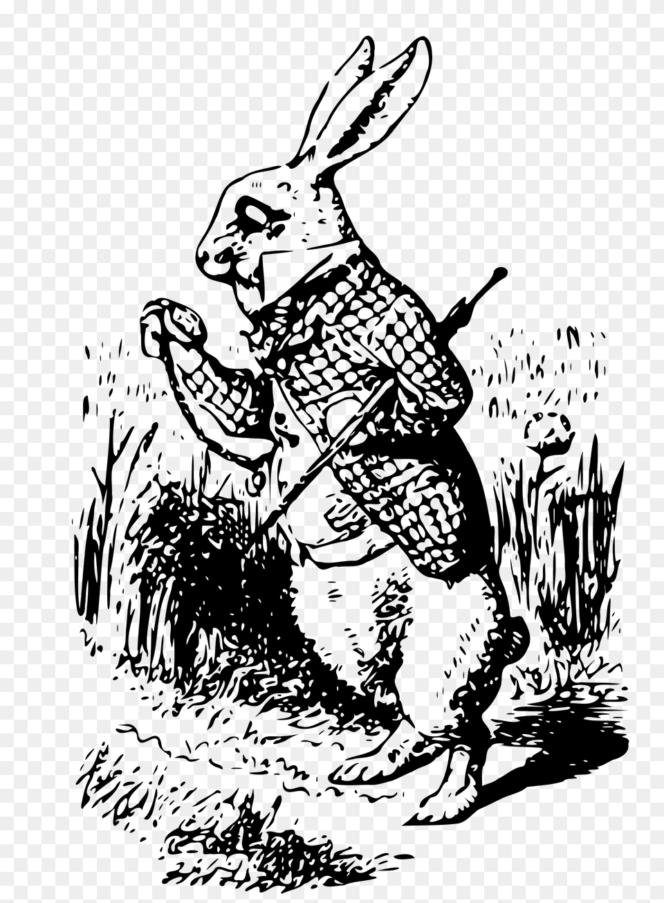 Alice In Wonderland Vintage Rabbit, Animal, Mammal, Hare, Person Png Image