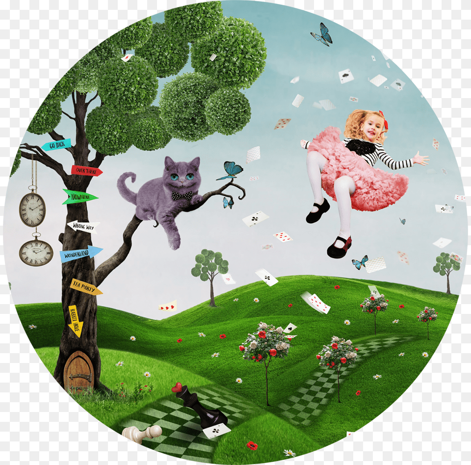 Alice In Wonderland Wall Paper, Plant, Grass, Green, Girl Free Transparent Png