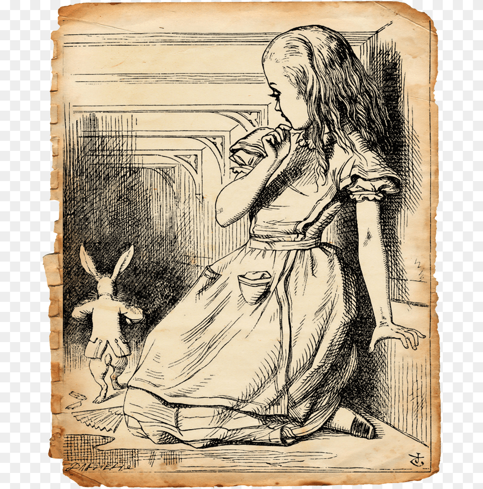 Alice Took Up The Fan And Gloves And As The Hall Alice In Wonderland Corridor Illustration, Adult, Wedding, Person, Painting Free Png