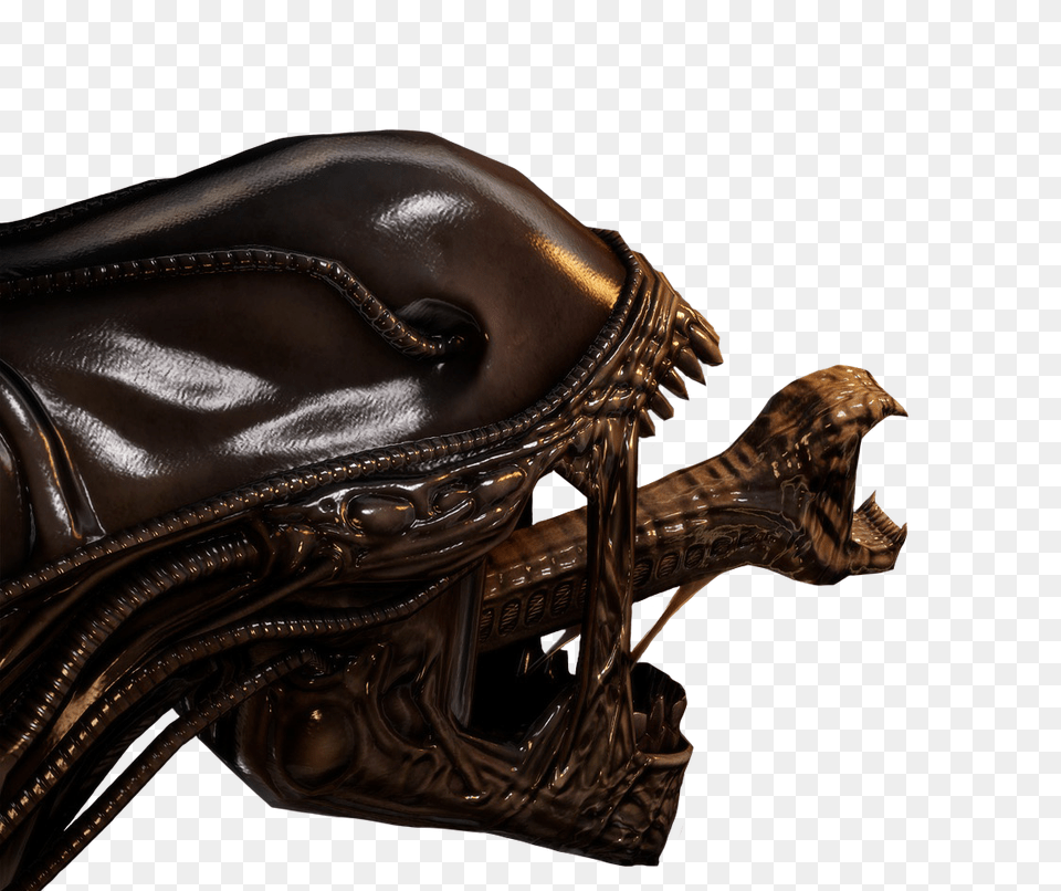 Alien, Bronze, Adult, Female, Person Png