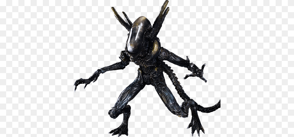 Alien, Animal, Invertebrate, Spider, Electronics Png