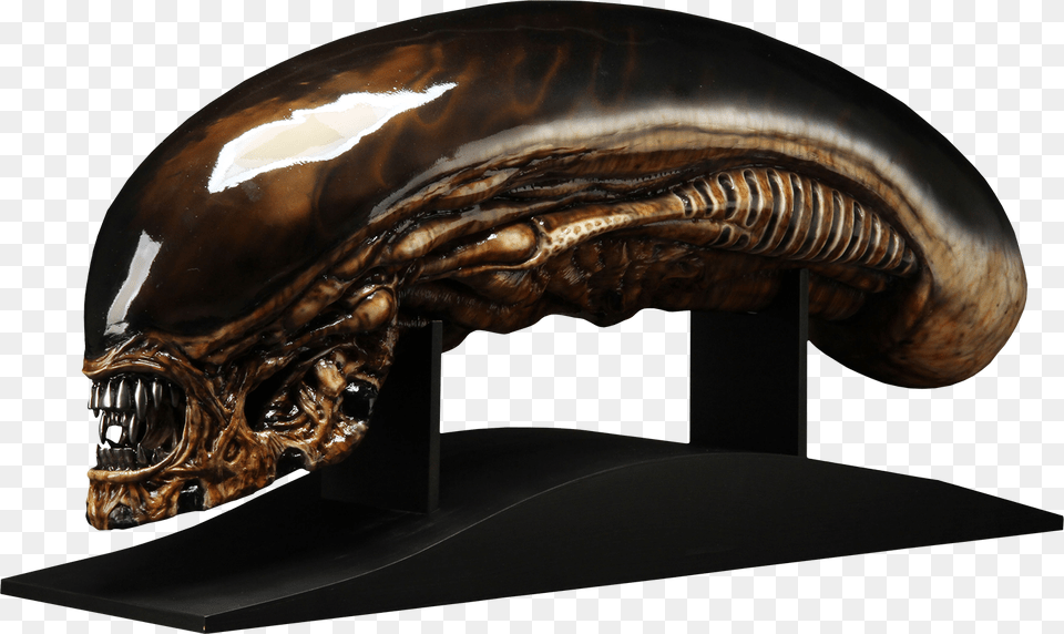 Alien 3 Head Dog Alien Alien 1 Head, Bronze, Helmet Free Png Download