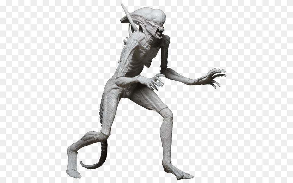 Alien, Adult, Male, Man, Person Png