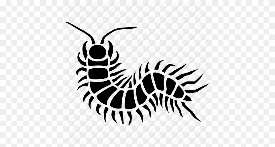 Alien Arthropod Bug Centipede Gross Insect Millipede Icon, Animal Png Image