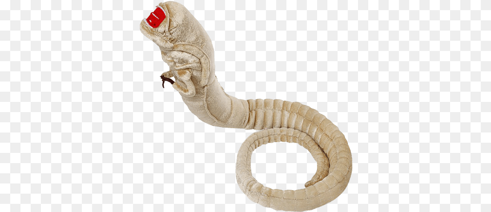 Alien Chestburster Plush Figure, Animal, Reptile, Snake Free Transparent Png
