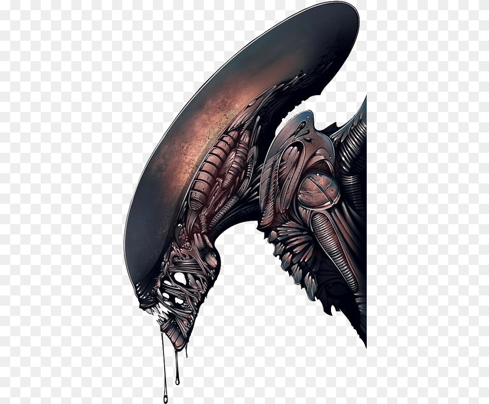 Alien Covenant Dibujos A Color Free Transparent Png