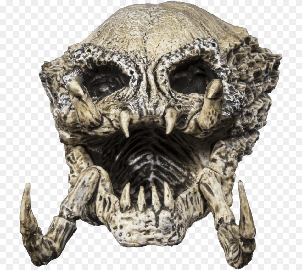Alien Skull Alien Skull, Animal, Lion, Mammal, Wildlife Png