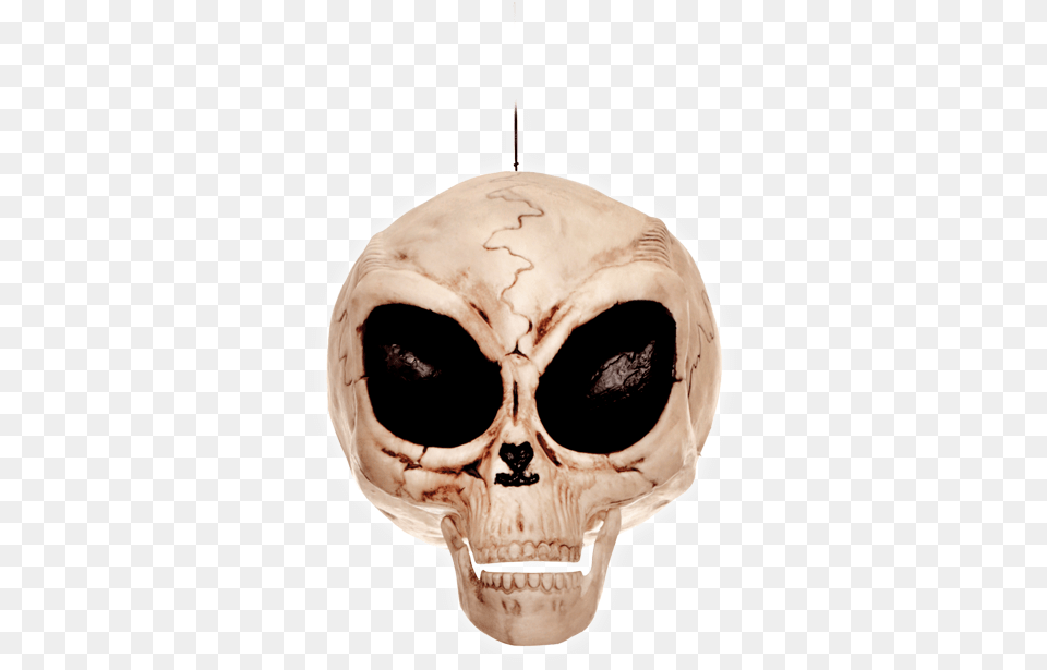 Alien Skull Crazy Bonez Alien Skull By Crazy Bonez, Adult, Male, Man, Person Free Transparent Png