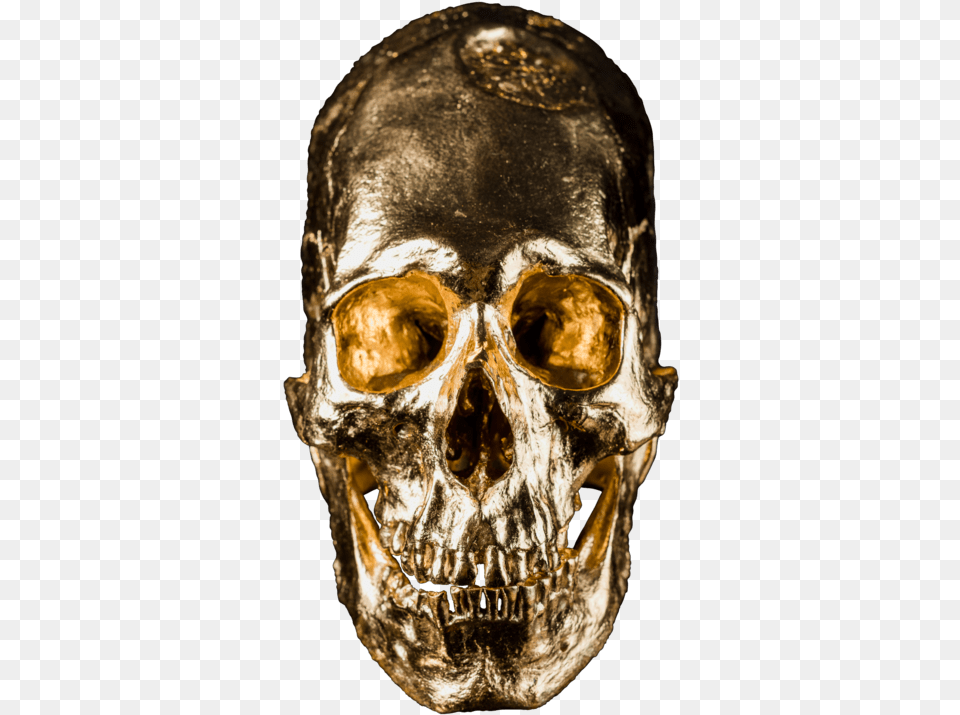 Alien Skull No Skull, Adult, Male, Man, Person Free Transparent Png