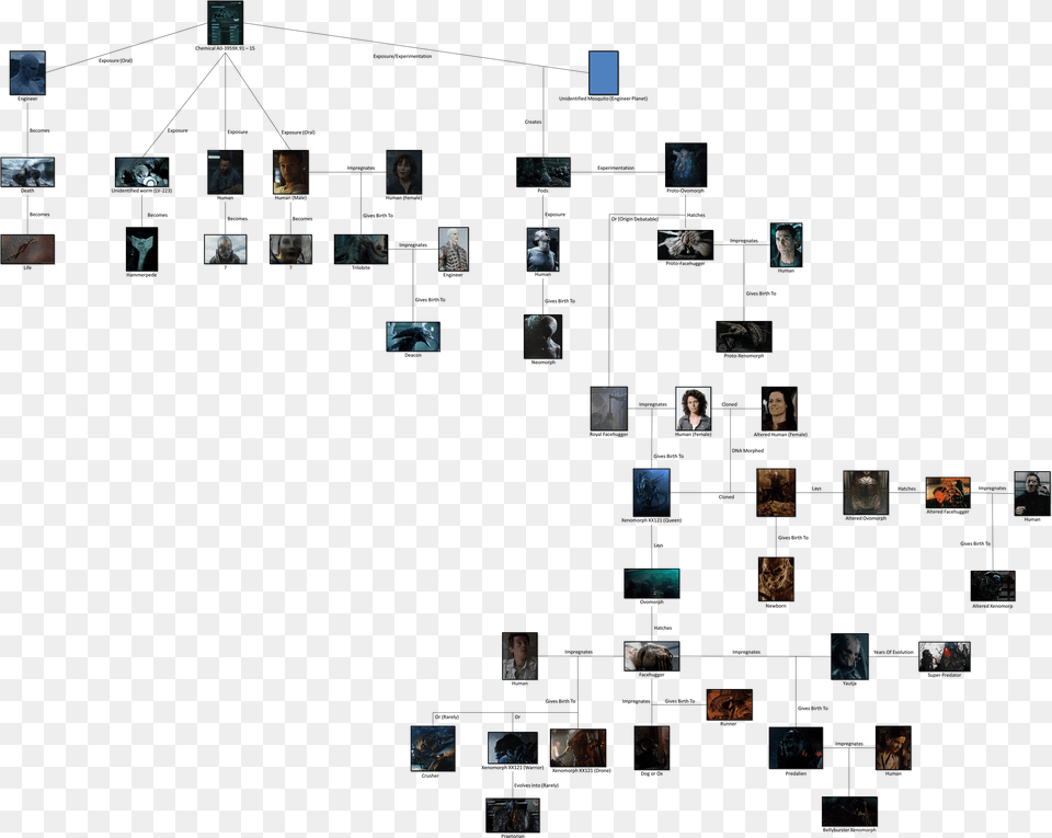 Alien Xenomorph Evolution Chart, Art, Collage, Architecture, Building Png Image