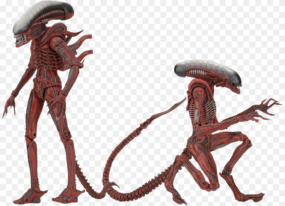 Aliens Neca Grey Dog Alien, Animal, Dinosaur, Reptile, Person Png Image