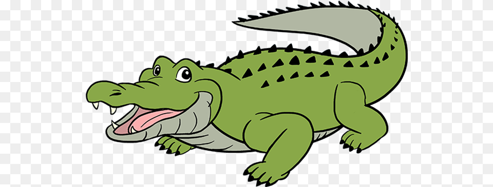 Aligator Drawing Alligator, Animal, Crocodile, Reptile, Fish Free Png