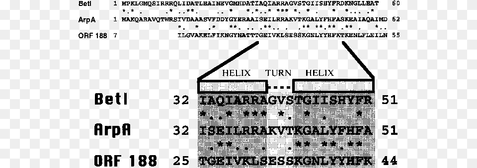 Alignment Of The Helix Turn Helix Sequences Of Arpa Number, Gray Png