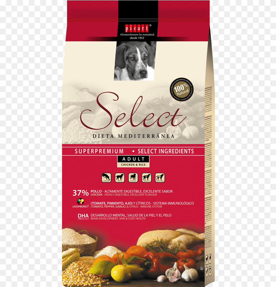 Alimento Para Perros Adultos Picart Select, Advertisement, Poster, Animal, Canine Free Png Download
