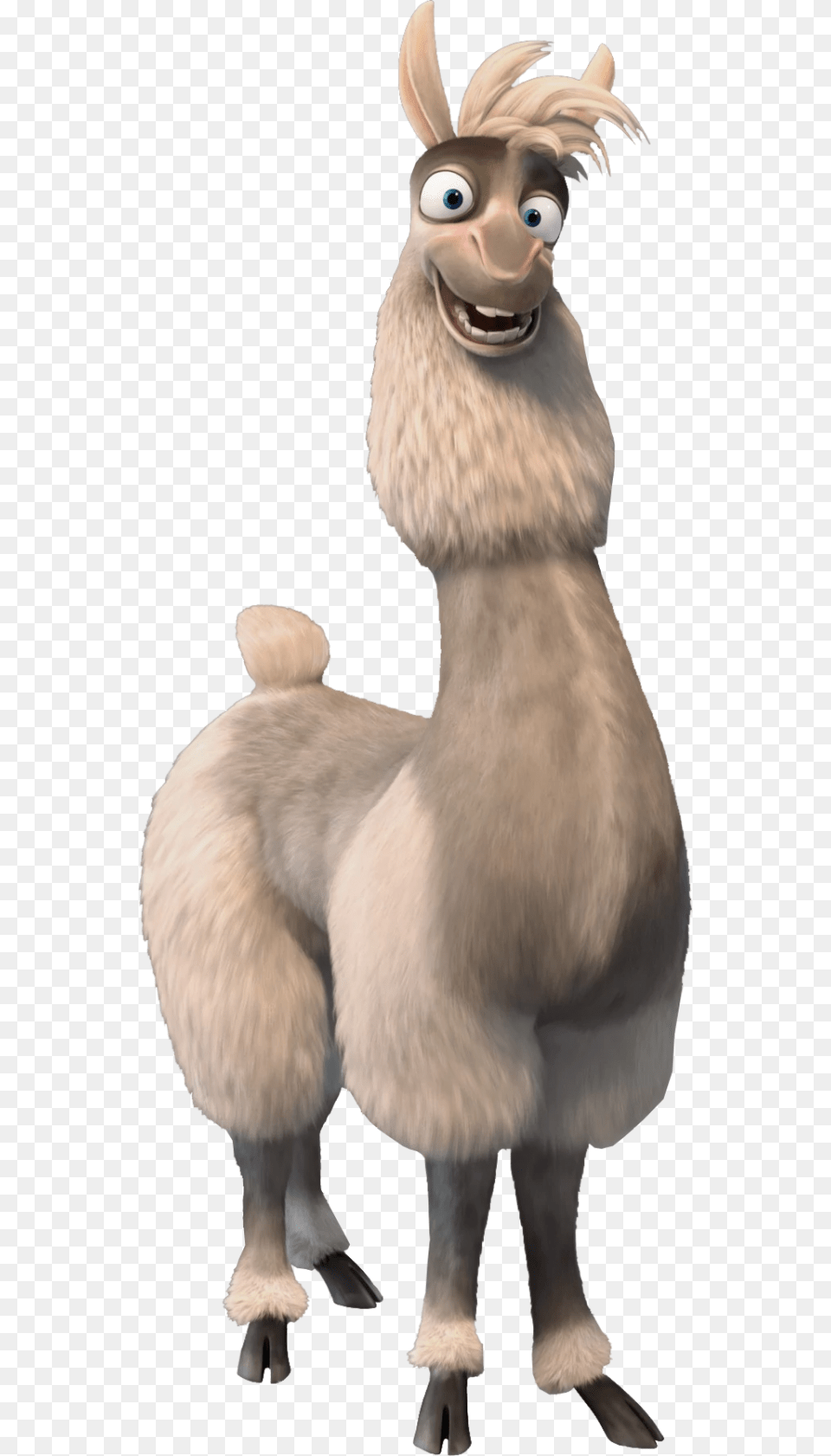 Alistair Open Season Llama Argentina, Animal, Mammal Png