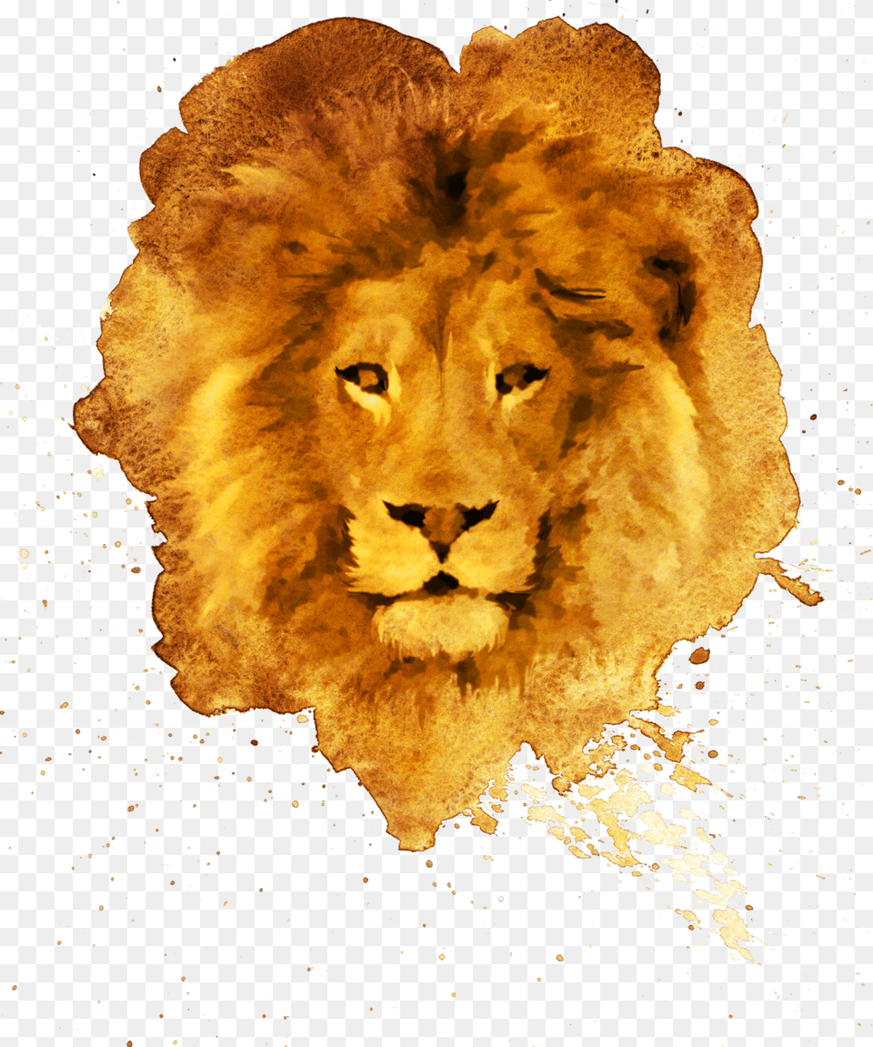 Aljanh Lion With Big Mane, Animal, Mammal, Wildlife Png Image