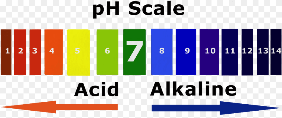 Alkaline Water Is Water With A Ph Level Greater Than Model Of Ph Scale, Text, Scoreboard Free Png