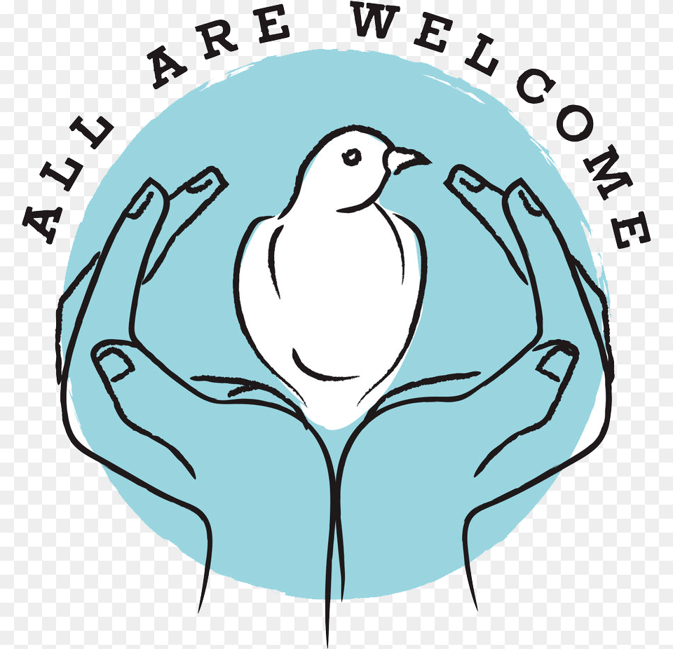 All Are Welcome Immigrants, Animal, Bird, Penguin, Baby Png