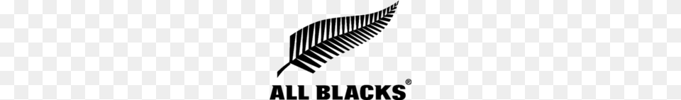 All Blacks Rugby Team Logo, Fern, Leaf, Plant, Scoreboard Png