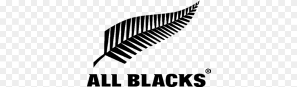 All Blacks Rugby Team Logo New Zealand All Blacks, Leaf, Plant, Fern, Text Free Png Download