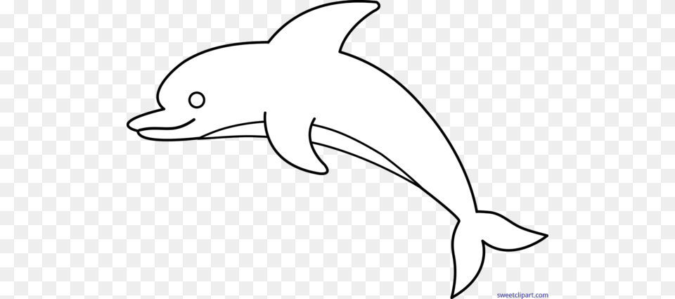All Clip Art Archives, Animal, Dolphin, Mammal, Sea Life Png Image