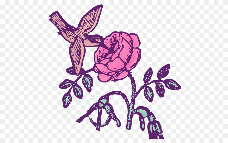 All Clip Art Archives, Purple, Flower, Plant, Rose Png