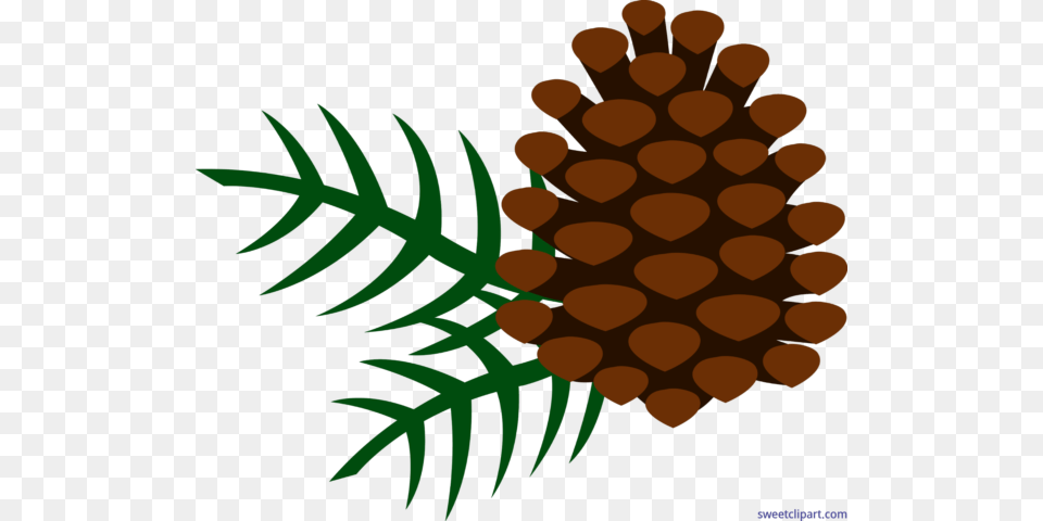All Clip Art Archives, Conifer, Plant, Tree, Pattern Png