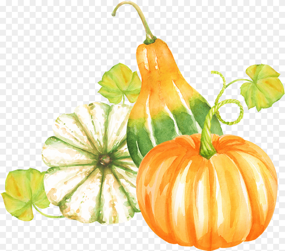 All Clipart Watercolor Clipart Pumpkin Clipart Woodland Watercolor Painting Free Transparent Png