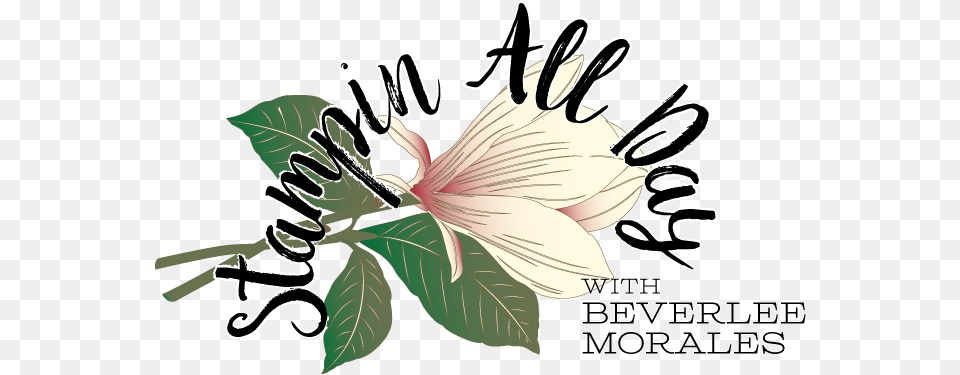 All Day With Bev Amy Wilson Carmichael, Anther, Flower, Leaf, Plant Png Image
