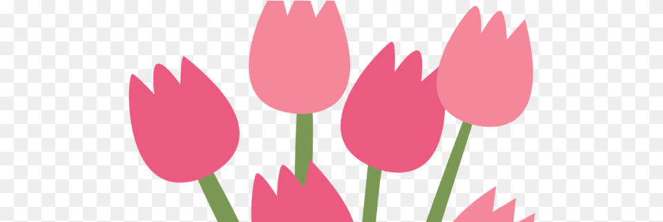 All District 4a 2 Lions And Community At Large Celebrate The Mother39s Day, Flower, Petal, Plant, Tulip Png Image