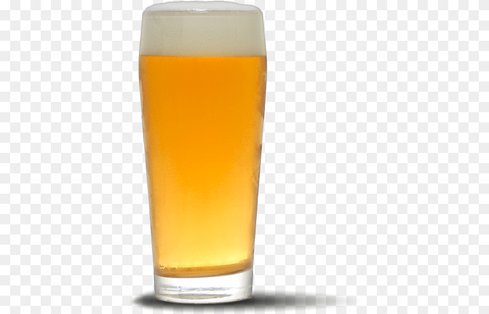 All In Ipa Ipa, Alcohol, Beer, Beer Glass, Beverage Free Transparent Png