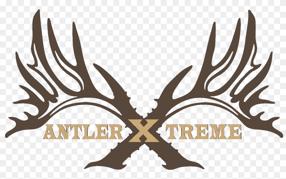 All In One, Antler, Person Free Png Download