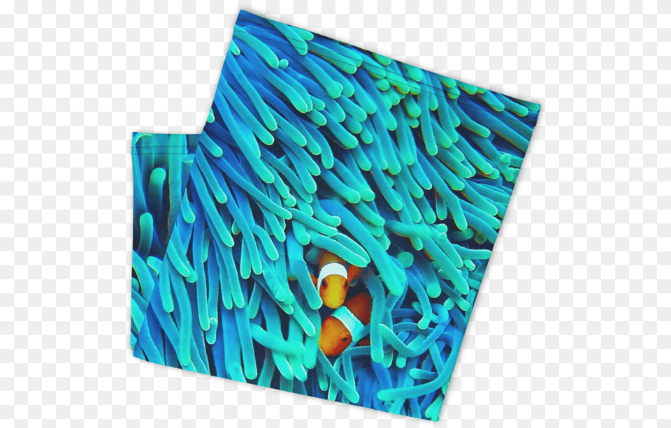 All Inone Mask Clownfish Vertical, Amphiprion, Animal, Sea Life, Fish Free Transparent Png