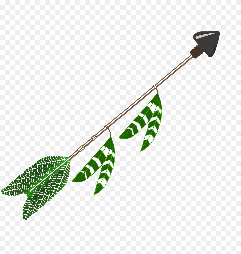 All Kinds Of Arrow Clipart, Green, Leaf, Plant, Herbal Png